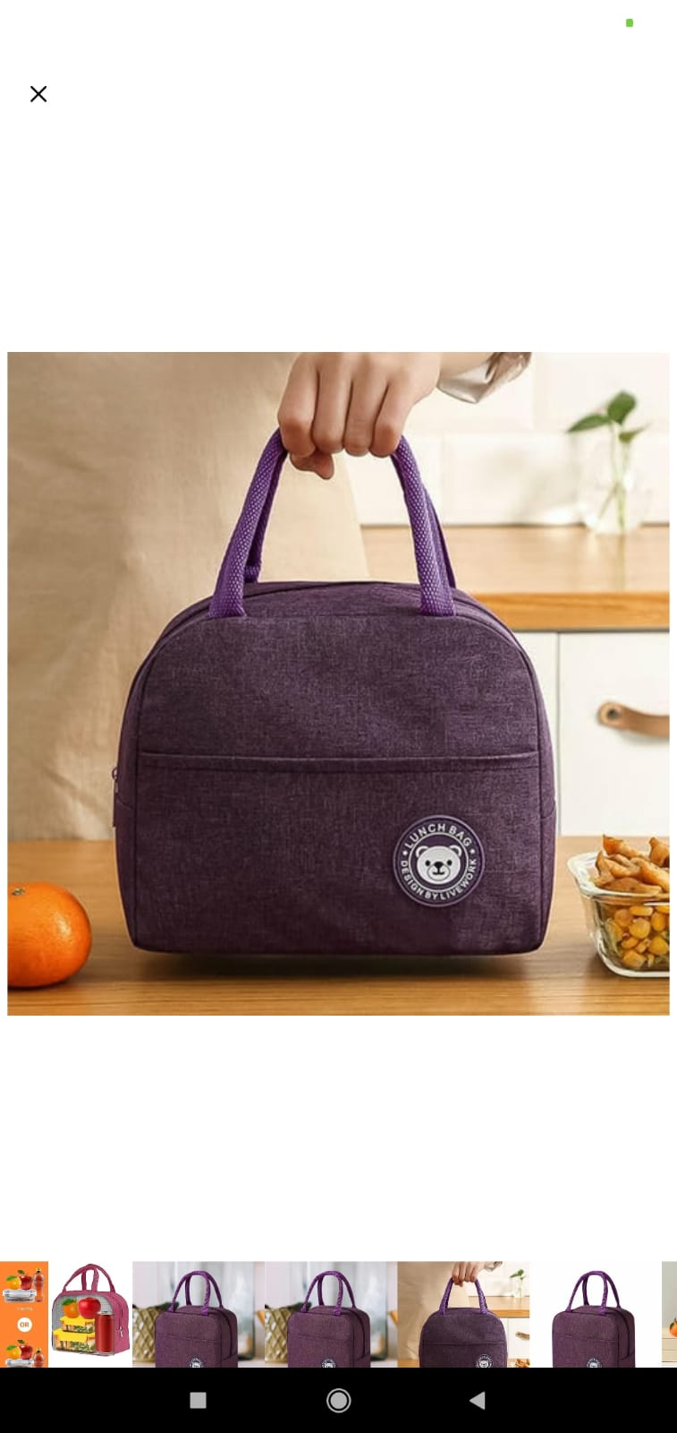 Lunch Box Bag For Women Men Insulated