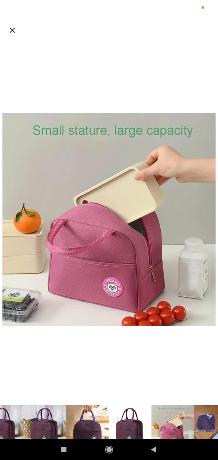 Lunch Box Bag For Women Men Insulated