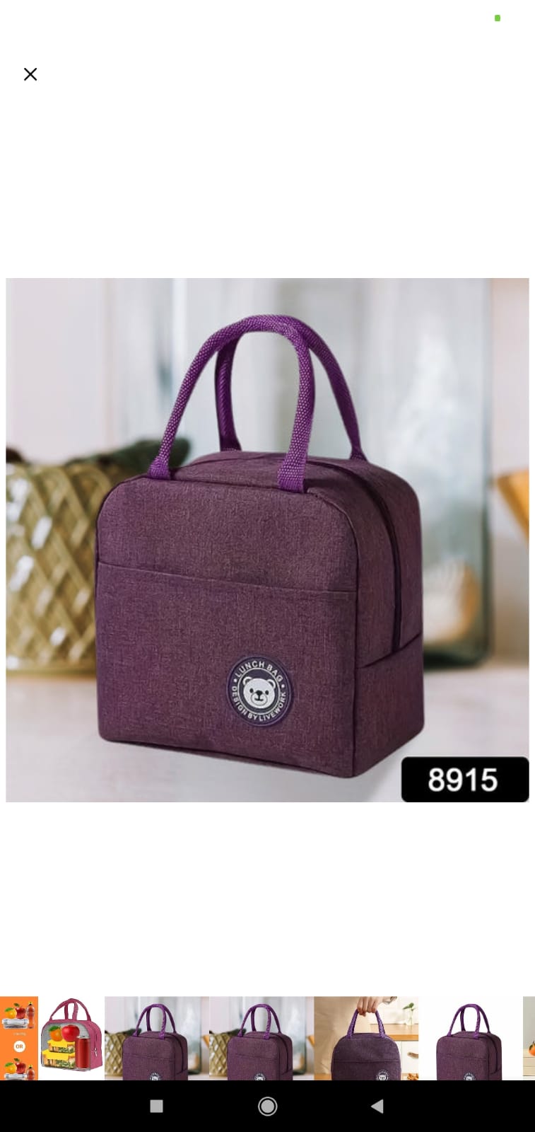 Lunch Box Bag For Women Men Insulated