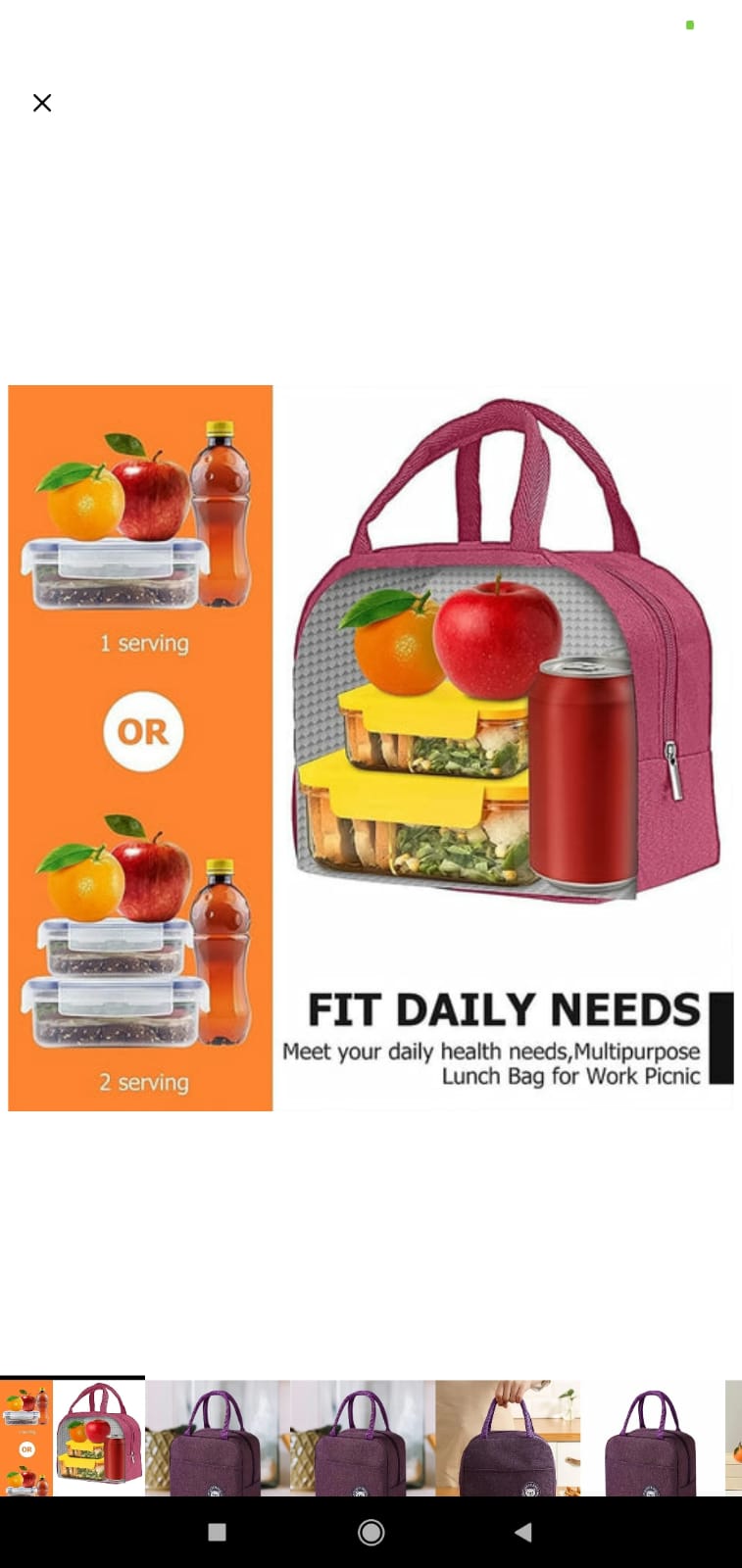 Lunch Box Bag For Women Men Insulated